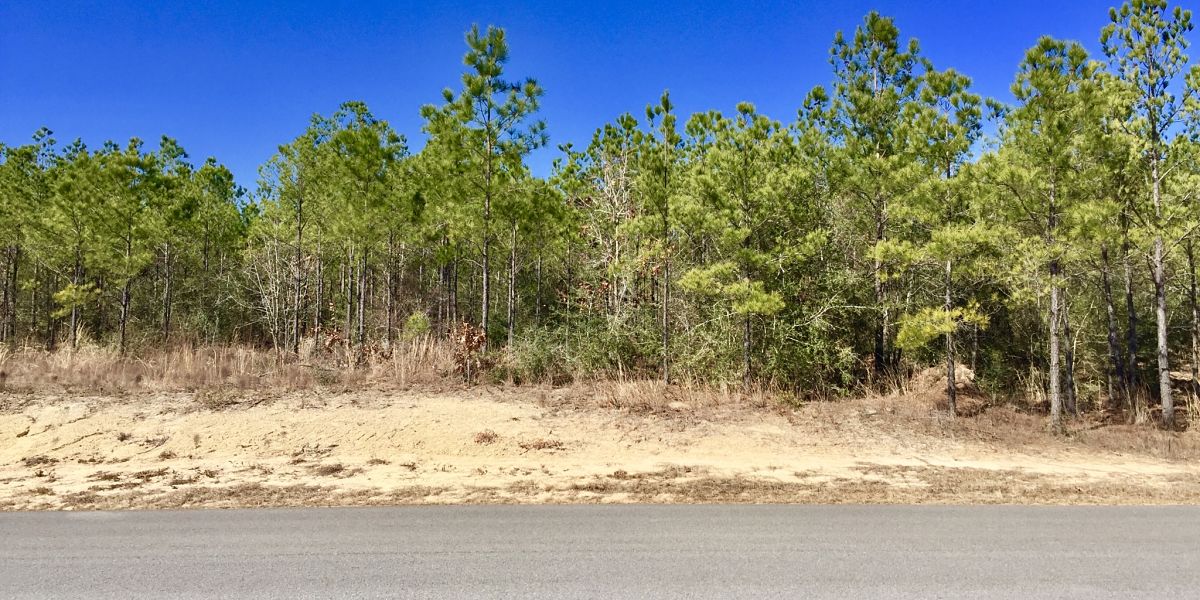 Lot 17, Ten Mile Rd, Buffalo Creek Estates