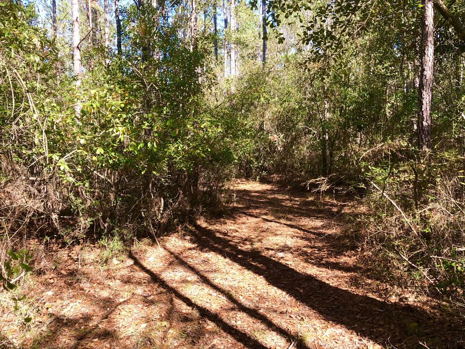 Lot 31, Big Sky Dr - 19.8 Acres | Buffalo Creek Estates Pace FL